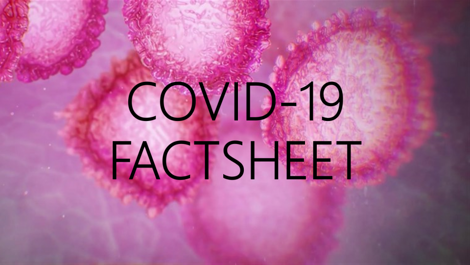 Coronavirus Fact Sheet: What your business needs to know