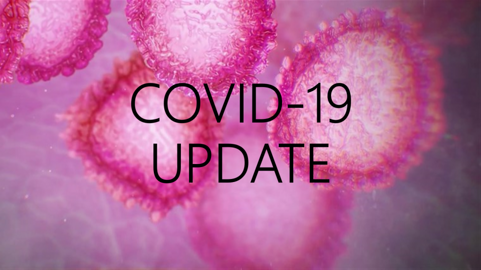 COVID-19: Saving the self-employed?